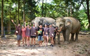 Soins aux éléphants dans le sanctuaire de la jungle de Koh Samui