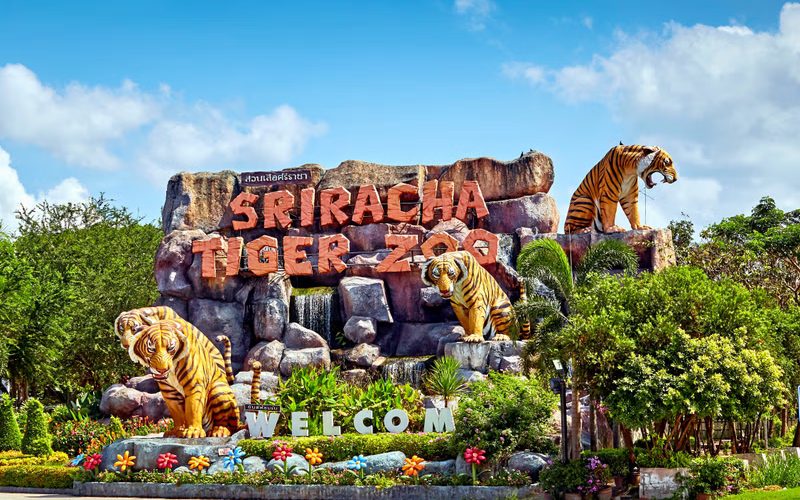 Entrée du Sriracha Tiger Zoo en Thaïlande, décorée de statues de tigres imposantes et d’un panneau coloré accueillant les visiteurs