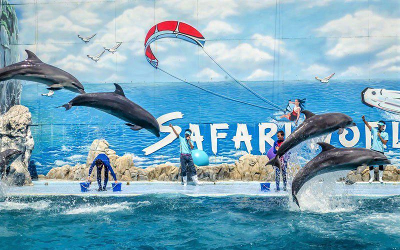 Spectacle de dauphins à Safari World Bangkok