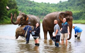 Soins aux éléphants à Luang Prabang