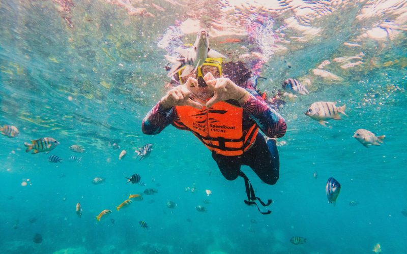 Snorkeling au parc national marin d’Ang Thong, avec un visiteur nageant parmi des poissons tropicaux dans une eau turquoise cristalline