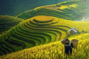 Voyage au Vietnam de la France