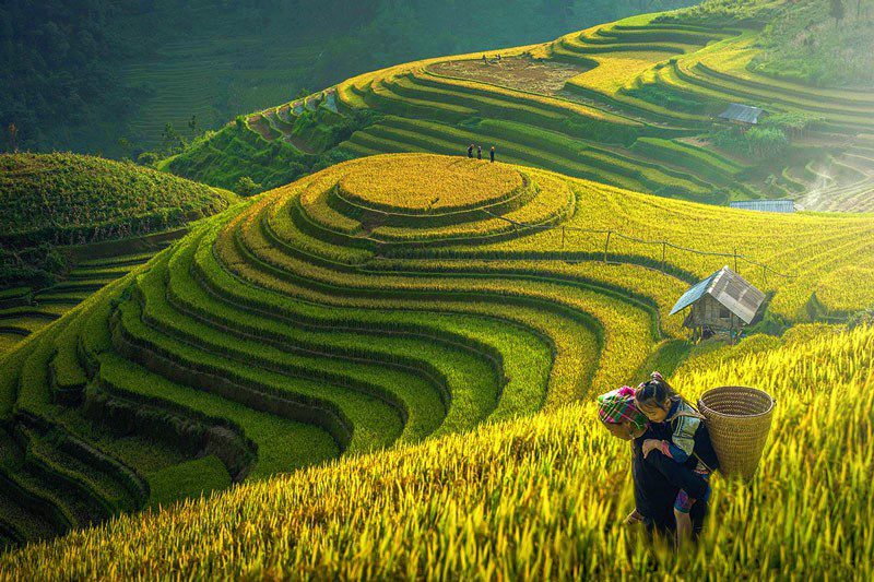 Sapa- Vietnam