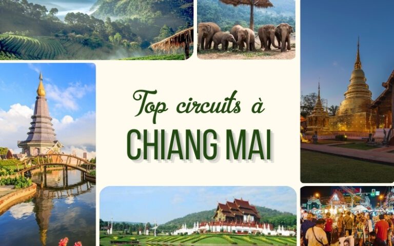 Top 3 circuits à Chiang Mai : Nos itinéraires coups de cœur pour explorer le Nord