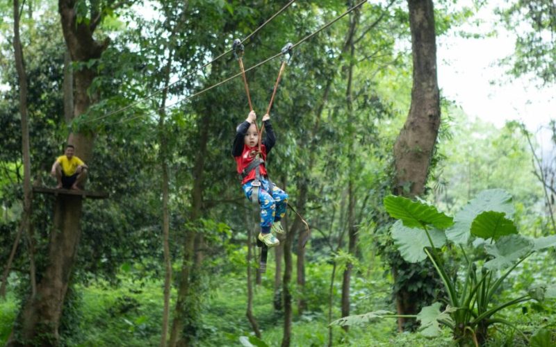 Un jeune enfant en pleine descente en tyrolienne à travers une forêt tropicale dense, portant un harnais de sécurité