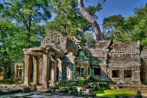 Temple Ta Prohm - Siem Reap - Cambodge