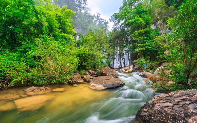 Cascade au cœur d’une forêt tropicale luxuriante, avec rivière claire, rochers naturels et végétation dense créant une ambiance sauvage et apaisante