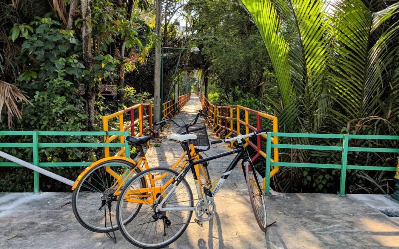 Vélo à l'île artificielle Bangkrachao