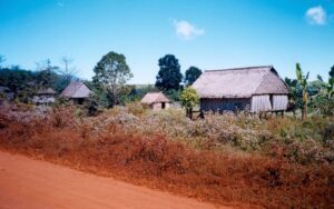 Maisons traditionnelles sur pilotis dans un village rural de Ratanakiri, au Cambodge, entourées de végétation et bordées par un chemin de terre rouge sous un ciel bleu clair