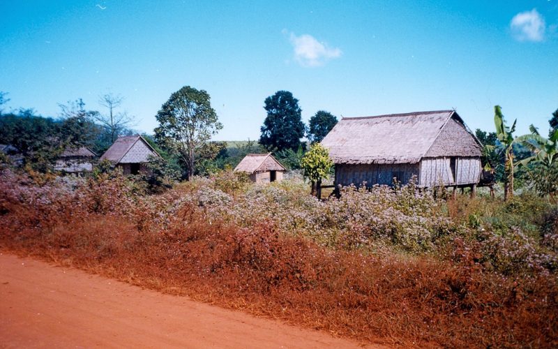 Maisons traditionnelles sur pilotis dans un village rural de Ratanakiri, au Cambodge, entourées de végétation et bordées par un chemin de terre rouge sous un ciel bleu clair