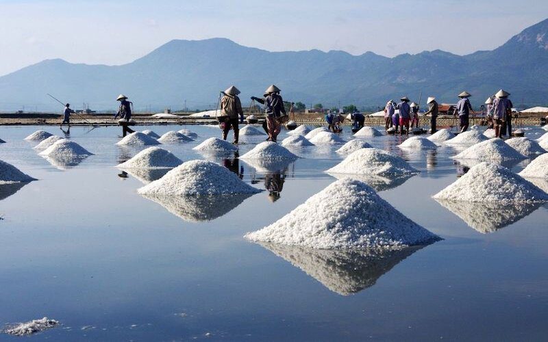 Visite des champs de sel à Nha Trang en 1 Jour