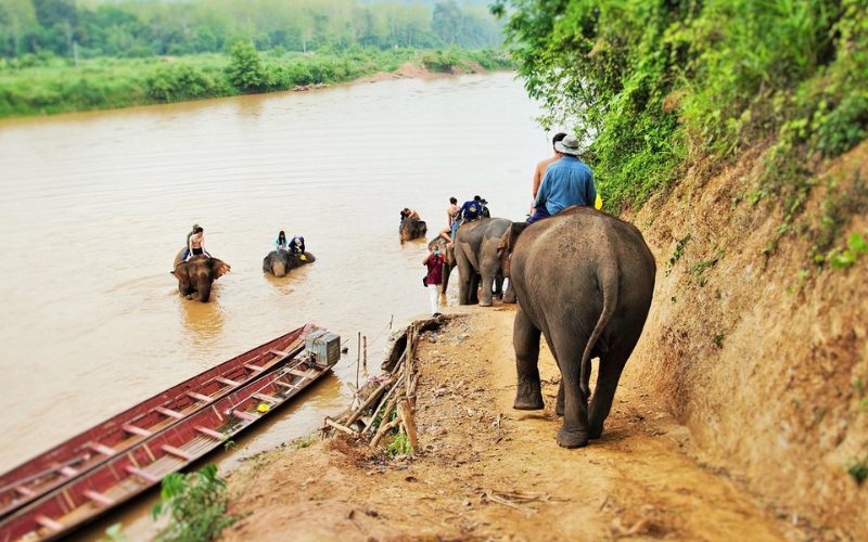 Promenade à dos d'éléphant au bord de la rivière Nam Khan au Village des éléphants, avec des éléphants se baignant dans l'eau et des bateaux traditionnels à proximité