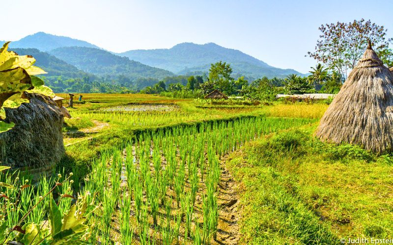 Voyage Nature & Culture au Vietnam Laos en 9 jours