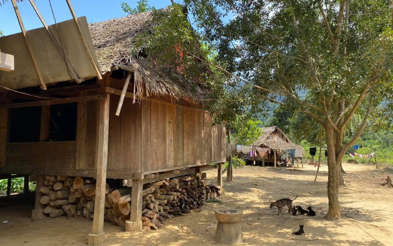 Maisons traditionnelles sur pilotis dans un village ethnique près de Phong Nha, avec du bois empilé sous la maison